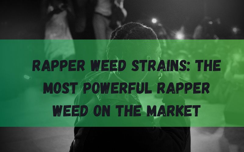 Rapper Weed Strains The Most Powerful Rapper Weed on the Market.png